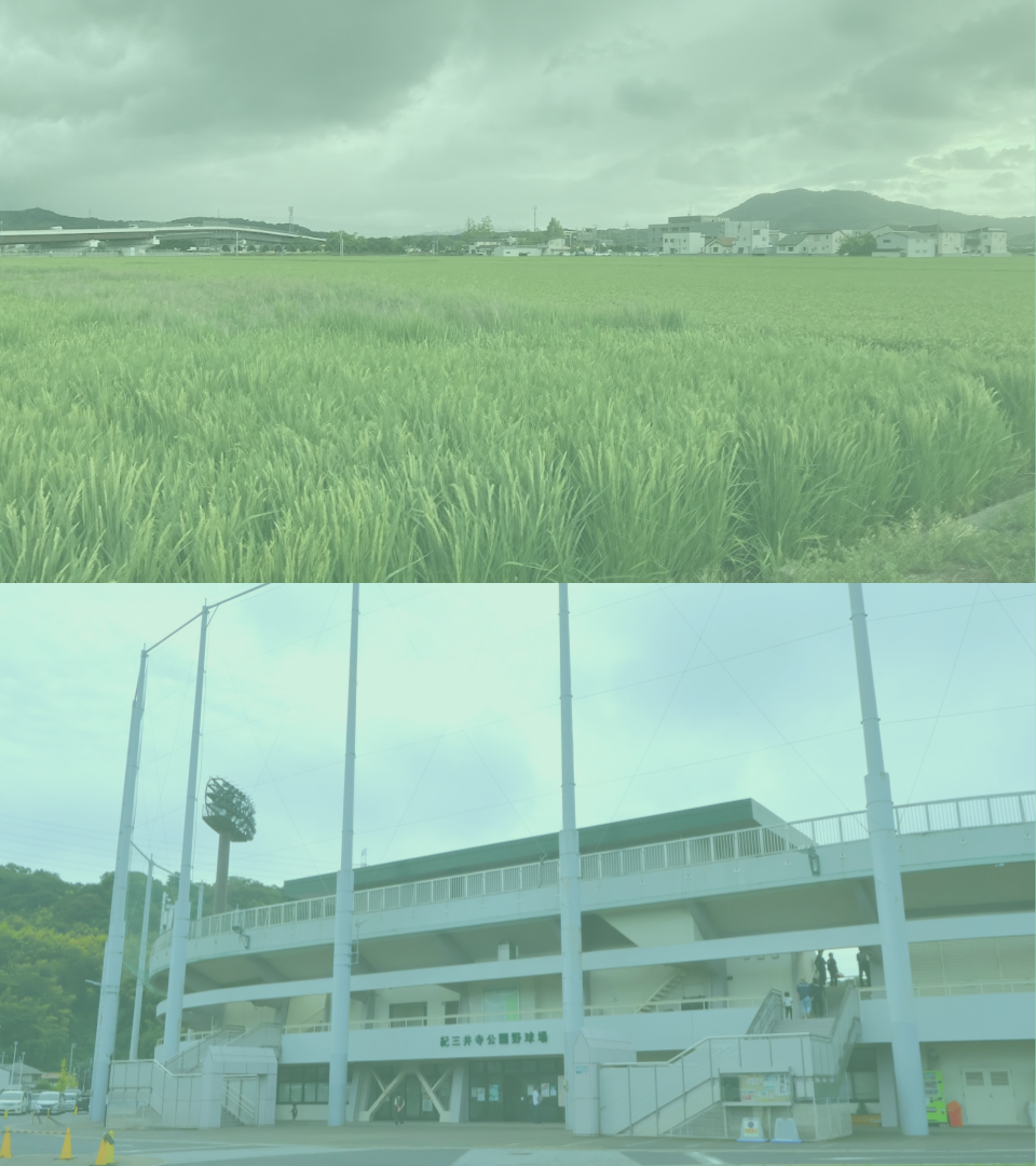 和歌山市
